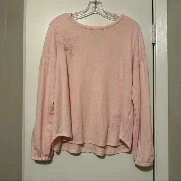 Cupio Tops - Cupio pale pink long sleeve top embroidered flowers size L